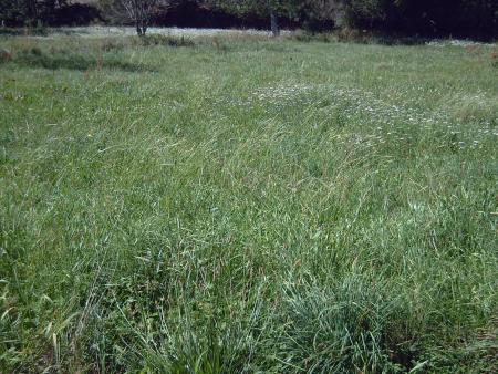 Re: Río Torío, una muerte confirmada